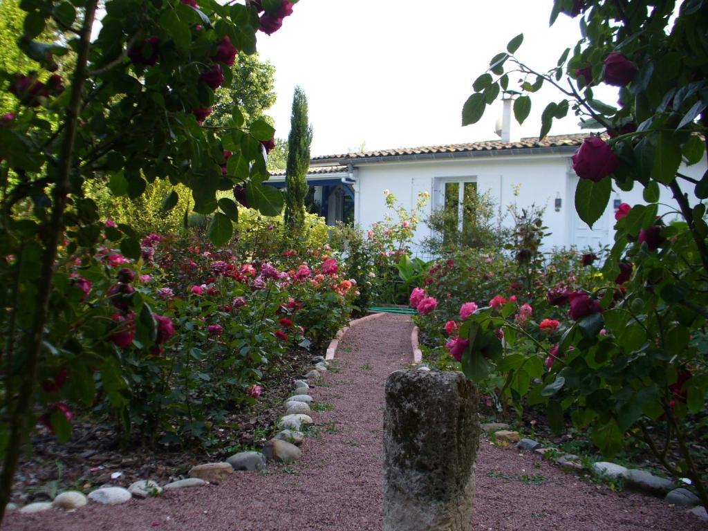 Chambre D'Hotes Dyrslot Bed and Breakfast Saint-Denis-de-Pile Esterno foto